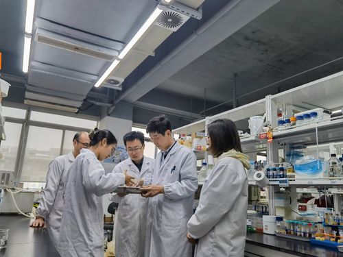 江南大學食品學院深化援疆合作，助力新疆食品科技產(chǎn)業(yè)升級