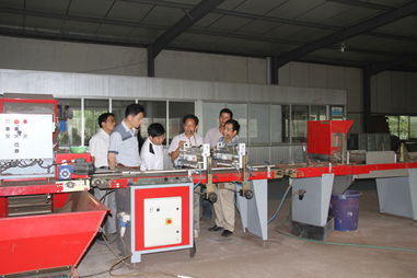 江蘇農(nóng)村科技服務超市舉辦蔬菜工廠化育苗技術(shù)示范經(jīng)驗交流會 助推農(nóng)業(yè)現(xiàn)代化發(fā)展