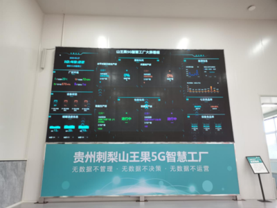 深耕'四張精品網' 助力中國式現代化開新篇——走進'云上之城'的數據處理與存儲服務